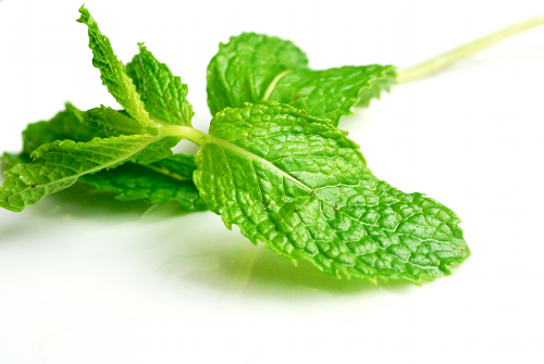 Fresh Mint Recipe and image for homemade mint lemonade by Lacey Stevens-Baier, personal chef for Sweet Pea Chef