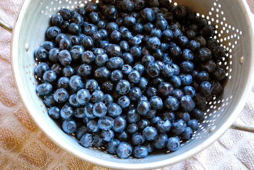 Fresh Blueberries Blueberry Crumble Pie recipe and images by Lacey Stevens-Baier, A Sweet Pea Chef