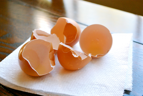 Egg Shells Homemade Breakfast Burritos recipe by Lacey Baier, a sweet pea chef