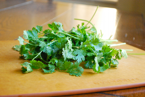 Fresh Cilantro Shredded Chicken Enchiladas recipe and images by Lacey Baier, a sweet pea chef