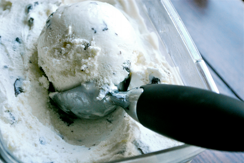 Mint Chocolate Chip Ice Cream Mint Chocolate Chip Ice Cream recipe and images by Lacey Stevens-Baier, a sweet pea chef