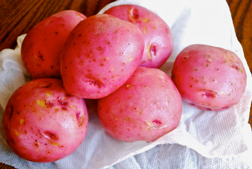 Red Potatoes Homemade Breakfast Burritos recipe by Lacey Baier, a sweet pea chef