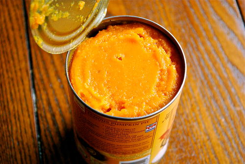 Canned Pumpkin Pumpkin Frozen Yogurt with Roasted Pecans recipe by Lacey Baier, a sweet pea chef