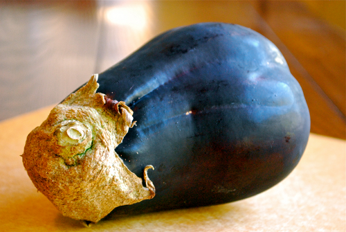 Fresh Eggplant Eggplant Parmesan recipe by Lacey Baier, a sweet pea chef