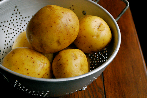 Yukon Gold Potatoes Parmesan Mashed Potatoes recipe and images by Lacey Baier, a sweet pea chef