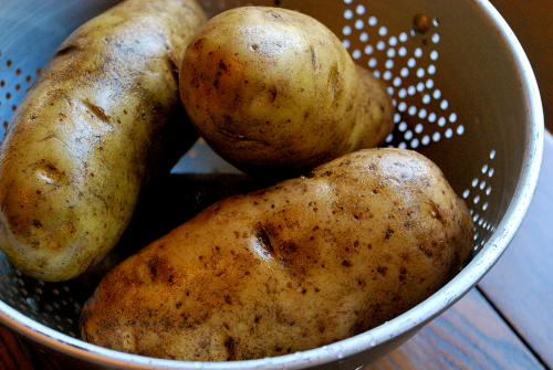 Russet Potatoes Cheesy Au Gratin Potatoes recipe and images by Lacey Baier, a sweet pea chef