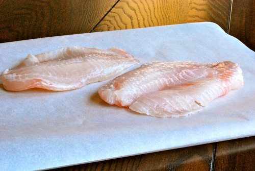 Fresh Tilapia Fillets Panko-Crusted Tilapia recipe and images by Lacey Baier, a sweet pea chef