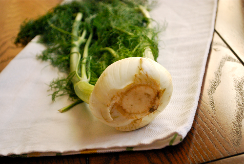 Fresh Fennel Roasted Fennel and Italian Sausage Pizza with Garlic White Sauce by Lacey Baier, a sweet pea chef