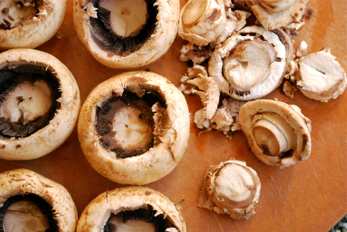 Ready to be Stuffed Garlic Stuffed Mushrooms recipe and images by Lacey Baier, a sweet pea chef