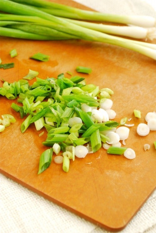 Sliced Green Onions Teriyaki Chicken recipe and images by Lacey Baier, a sweet pea chef