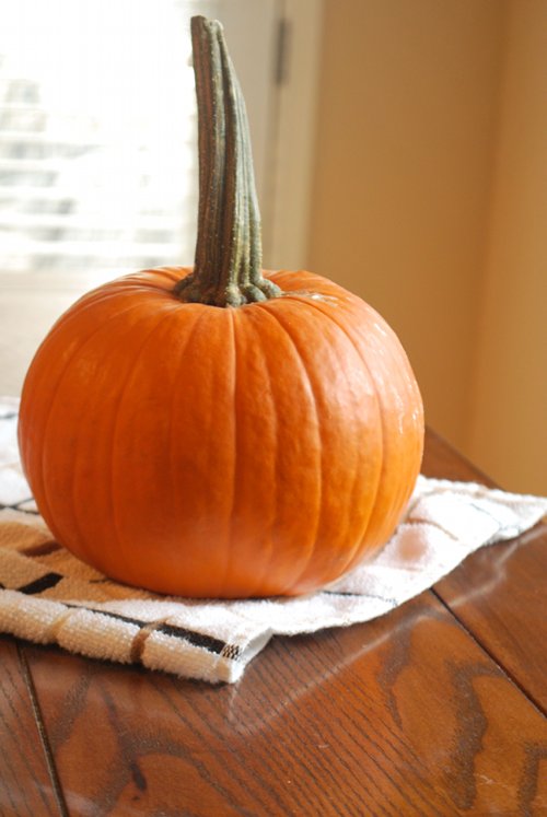 Fresh Pumpkin How to Roast a Pumpkin for Pumpkin Puree by Lacey Baier, a sweet pea chef