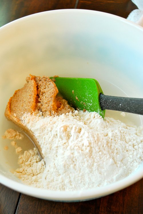Feeding the Starter Sourdough Starter Recipe by Lacey Baier, a sweet pea chef