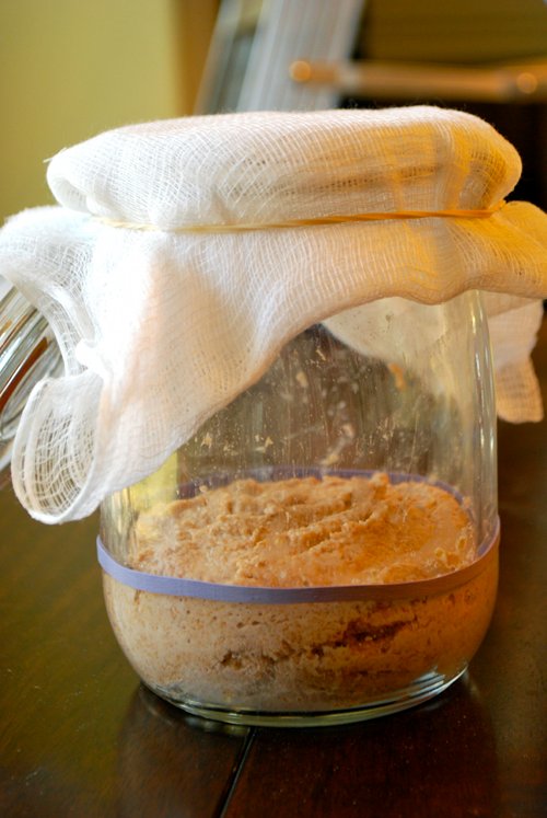 Ready to Grow Sourdough Starter Recipe by Lacey Baier, a sweet pea chef