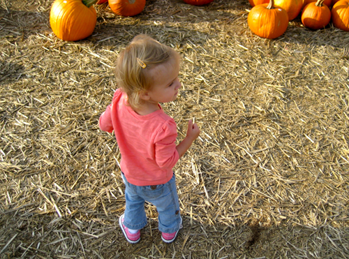 Jordan at the Pumpkin Patch 2010