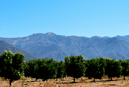 A Day in my Hometown of Ojai, California