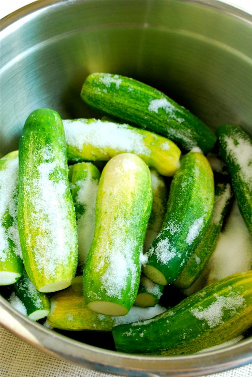Homemade Dill Pickles by Lacey Baier, a sweet pea chef