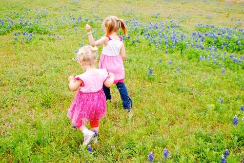Oh, the Blue Bonnets! by Lacey Baier, a sweet pea chef
