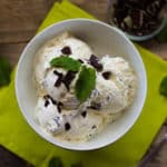 Mint Chocolate Chip Ice Cream Square Recipe Preview Image
