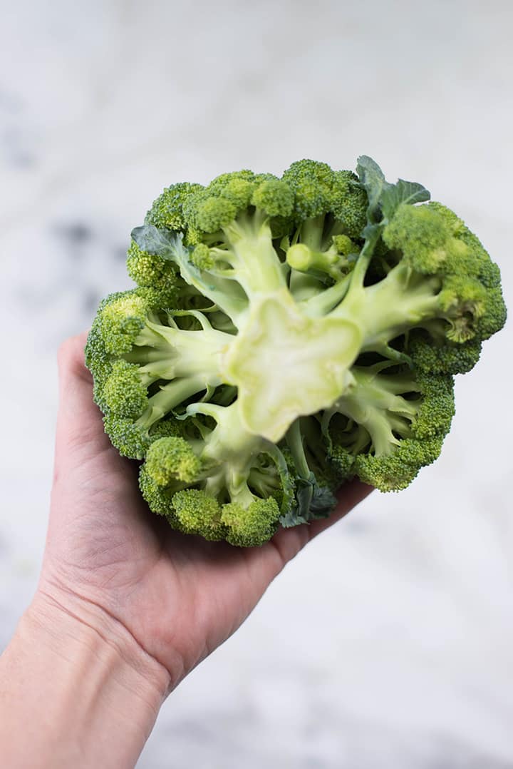 Top view of Lacey's hand holding a broccoli head.
