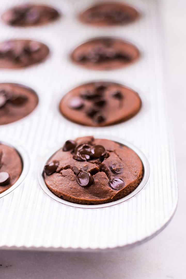 Freshly baked chocolate muffin in muffin tin.