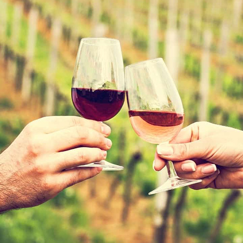Is Wine Fattening? The Final Answer on Whether Wine is Healthy