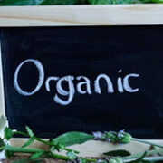Organic vs Non-Organic Foods: Know the Difference (And Why They Matter)