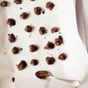 Dark Chocolate Covered Coconut Bites