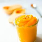 Butternut Squash Puree