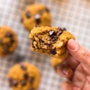 Pumpkin Chocolate Chip Muffins