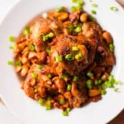 Slow Cooker Cashew Chicken