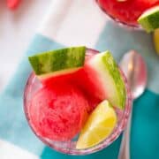 Watermelon Sorbet